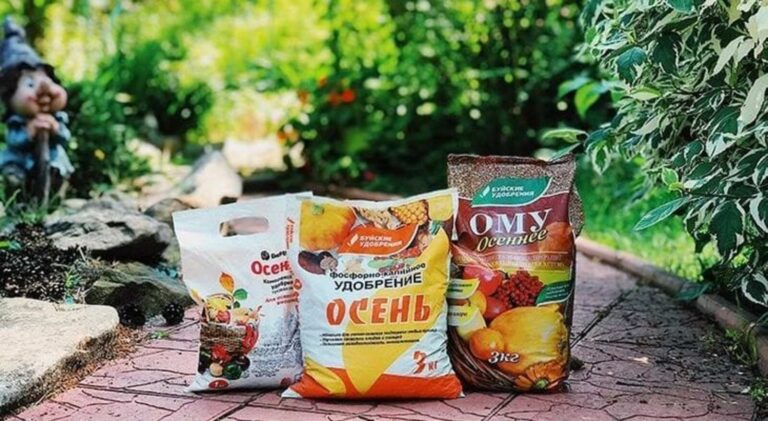 Удобрения для растений: выбор новичков