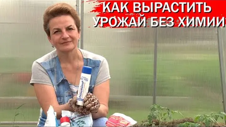 ПЯТЬ СОВЕТОВ ОТ ЭКСПЕРТА
