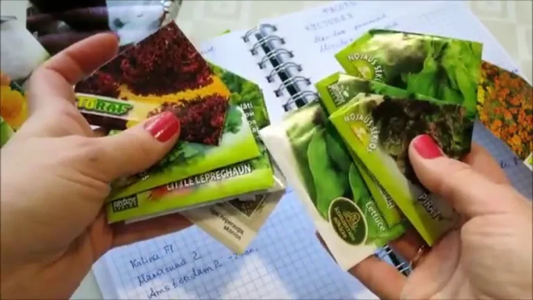 Февральский заказ семян